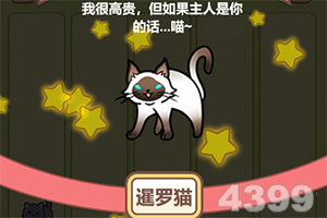 塑料性能是不是越贵越好？