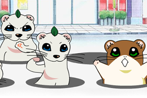 猪价跌至每斤5块多 近七年新低