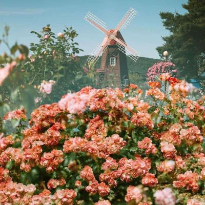 星空体育网页版在线登录官网入口