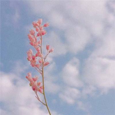 电竞平台竞技宝app安装正版最新版v5.6.1.0截图1