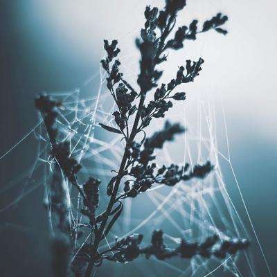 亚搏app(登录入口)下载官方IOS