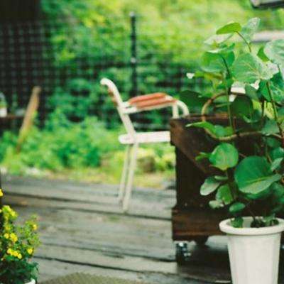 资讯有故事丨巴基斯坦学者在海南自贸港实现科研梦想 “这里正吸引国际人才前来发展”