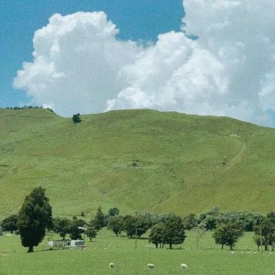 垃圾焚烧厂垃圾不够烧 调结构优布局势在必行