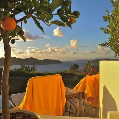 牛弹琴:伊朗披露了一个秘密