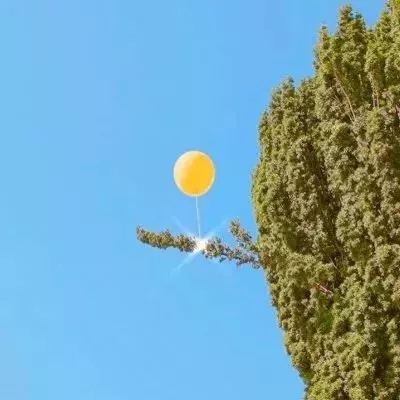 投资专家：市场“亟需明确信息”以应对伊朗战争局势