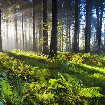 当CXO进入K型时代,药明康德为何能独善其身?