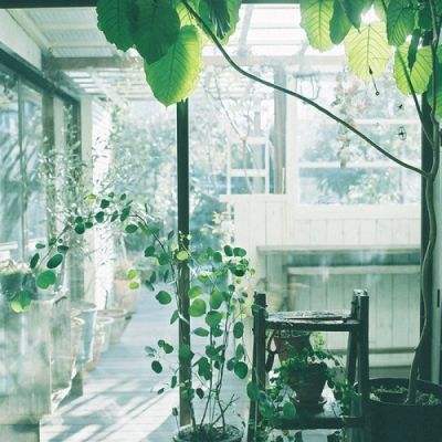 千万别忽视！猝死前，身体会发出“求救信号”！