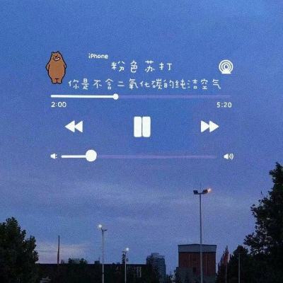 CGPS系列 带T型滑动导轨的平行...