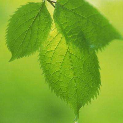 韩国政府称卡塔尔中断合同或导致液化天然气价格波动加剧