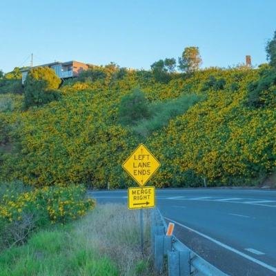 杏彩体育官网入口