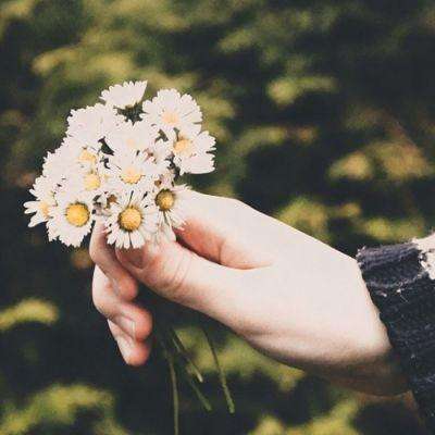 四大证券报头版头条内容精华摘要_2026年3月26日_财经新闻