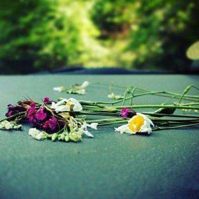 bsport体育官方网站