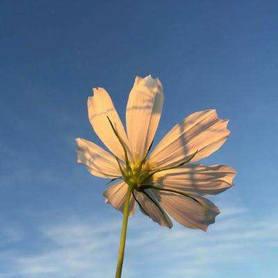 直击业绩会|中信银行董事长方合英:五年来非息收入占比提升9.3个百分点