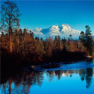 米乐yy易游体育入口