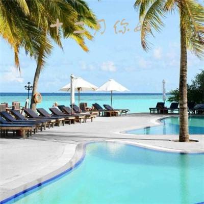 科创医药ETF华夏（588130）涨0.50%，成交额407.39万元