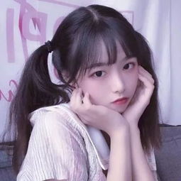 人类将率先与哪种动物“对话”?AI正加速破译跨物种“语言”