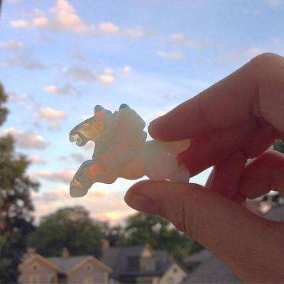 美向伊朗提出“15项条件”和谈方案