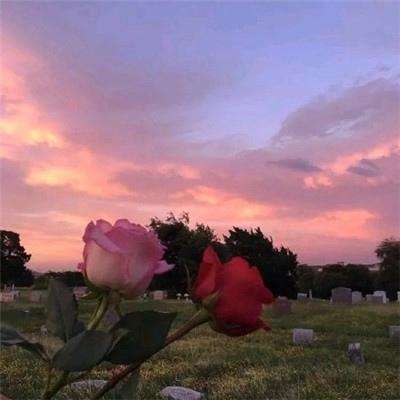 3月25日美股成交额前20：微软与英伟达联手开发面向核能的AI工具