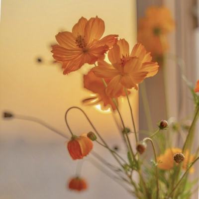 vs澳门网上电玩城在线