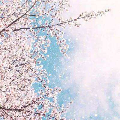 童年的动画不该搞“邪”了