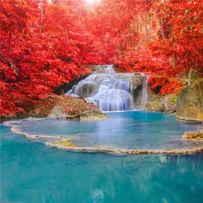 伊朗官方媒体:伊朗不会接受美国提出的战争停火提议