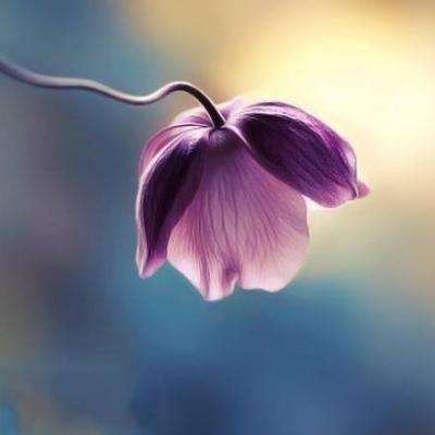 一份榜单,两项大奖丨信捷电气以...