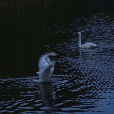 365best体育官网入口