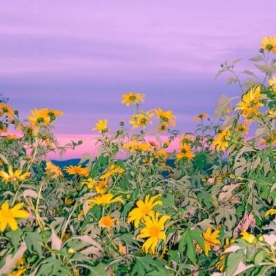 2026 CAIMRS|增量在哪?拐点何时...