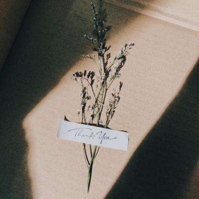 美国副总统万斯与内塔尼亚胡讨论了启动伊朗谈判的问题