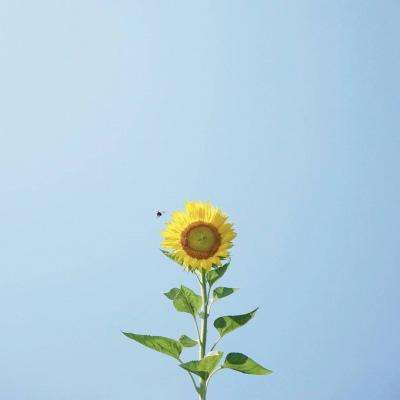 工银黄金ETF联接C净值上涨3.62%