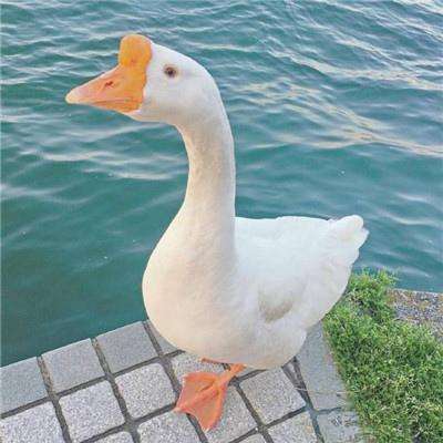 j9九游会登录入口九游会官网j9相关推荐1