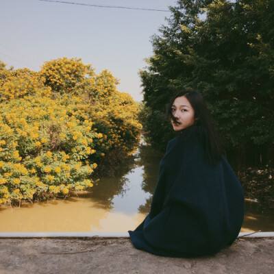 国内市占率超70%的信息化龙头企业且成长空间巨大,股价跌去80%,是否值得关注?