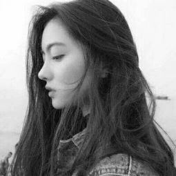 华体育hth官网入口评测