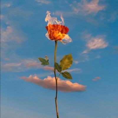 bsportapp官方网站安装正版最新版v3.0.1.7截图1