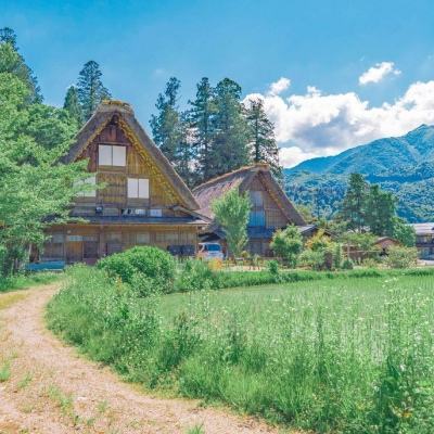 米乐yy体育官网相关推荐1