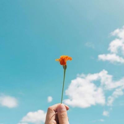 泡泡农场大作战