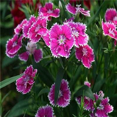 中院发回重审 县法院仍维持原判