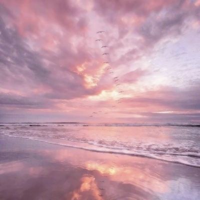 伊朗军方：正搜捕逃亡美军