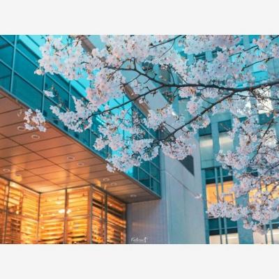 永磁直驱电机在矿山行业的应用:...