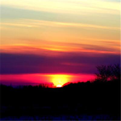 “免费烟花烫值了”他笑了网友心疼了