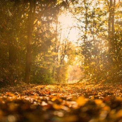 博鱼电竞app官方