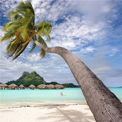 永乐国际棋牌app