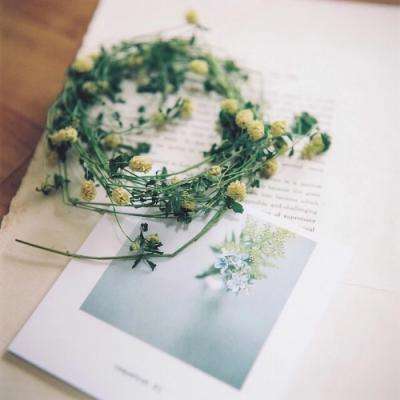 leyu乐鱼全站乐鱼官方版最新