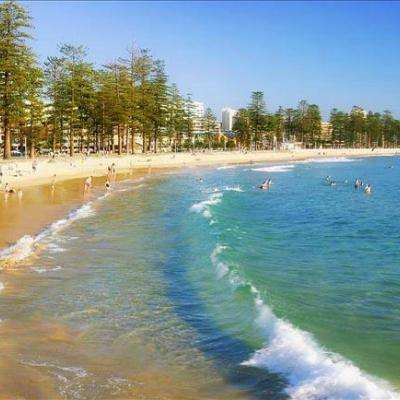 悟空体育官网网页版