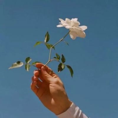 必威官网体育登录入口