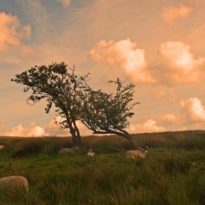 乐发500网页版登录入口