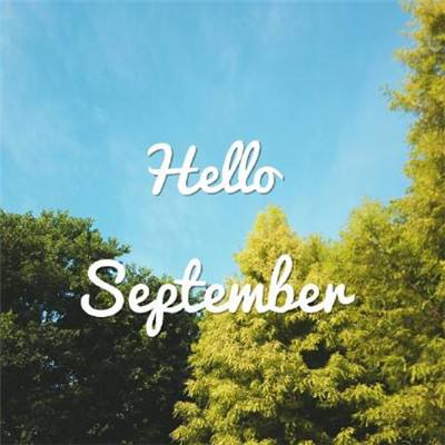 半岛ty体育入口