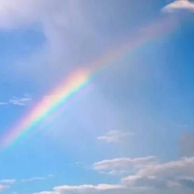 植物医生IPO：当品牌回归价值原点