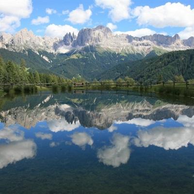 3.21电工节丨驭电无限，感谢每一...