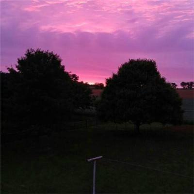 用于赛车运动车辆动力学测量的光...